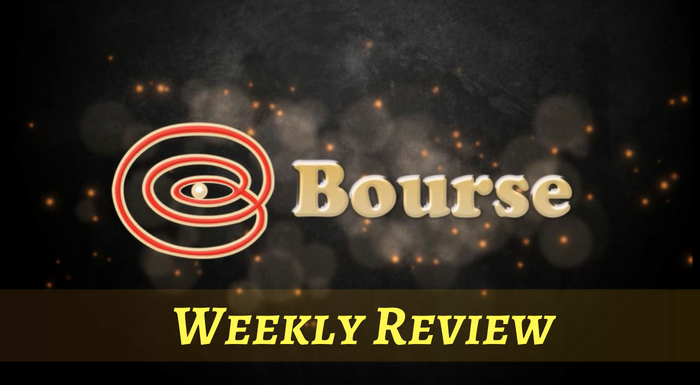 When Fundamentals Outweigh Narratives in Long-term Stock Investing